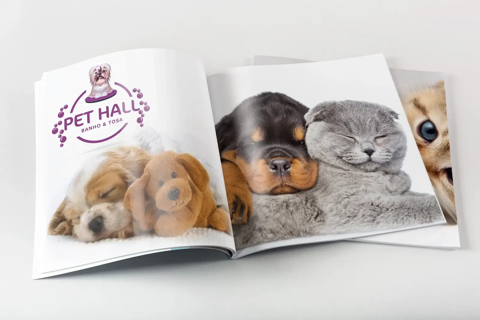 Pet Hall 2